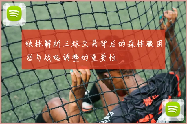 铁林解析三球交易背后的森林狼困惑与战略调整的重要性