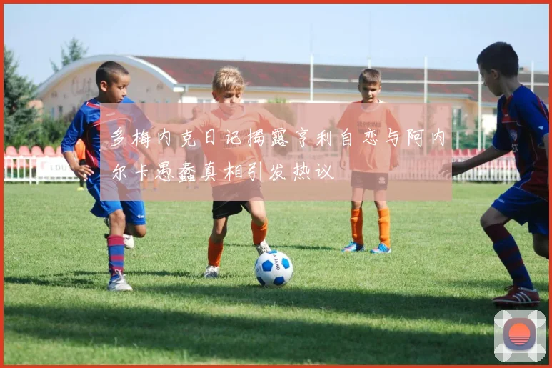 多梅内克日记揭露亨利自恋与阿内尔卡愚蠢真相引发热议